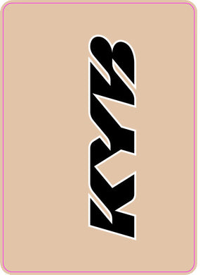 FORK TUBE GRAPHIC KYB