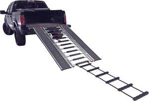 Traction Ladder