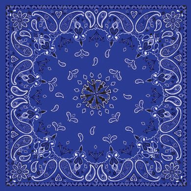 Bandanna Navy Paisley